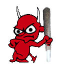 sdjc2.png